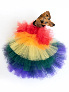 Rainbow Ruffle Gown