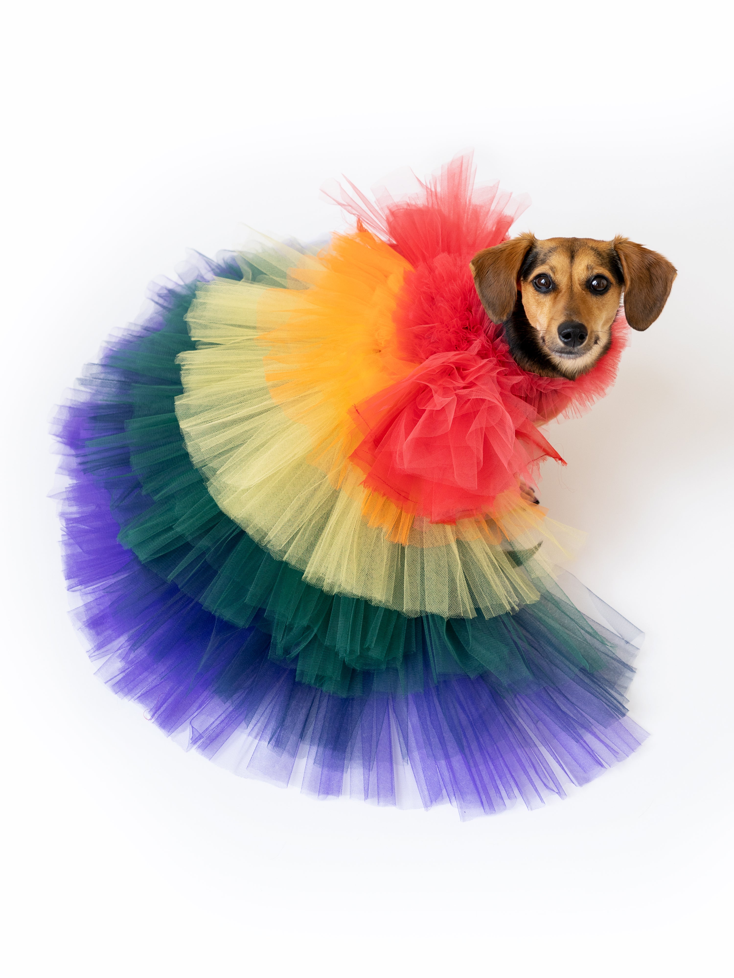 Rainbow Ruffle Gown